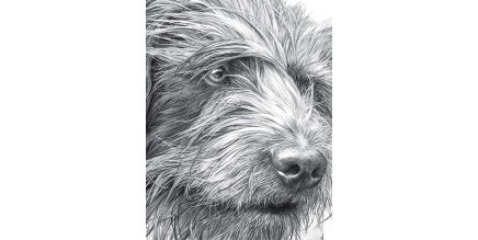 Print of The Gatekeeper by Mike Sibley