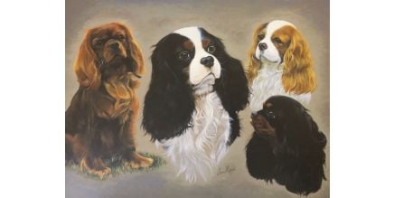 Print of a Group of Spaniels by Brian Hupfield